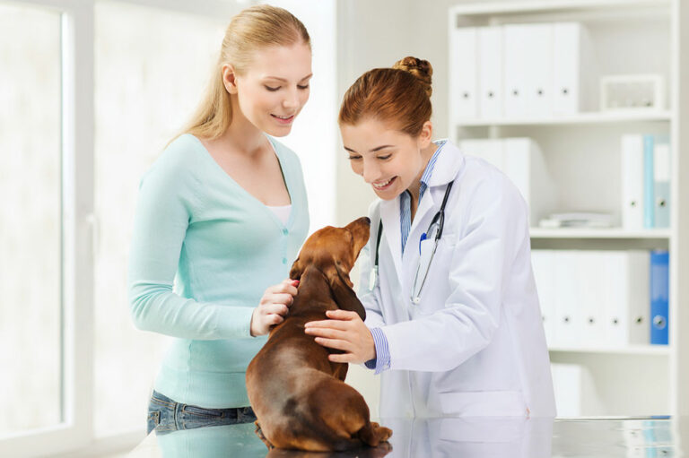 4 pet care mistakes to avoid